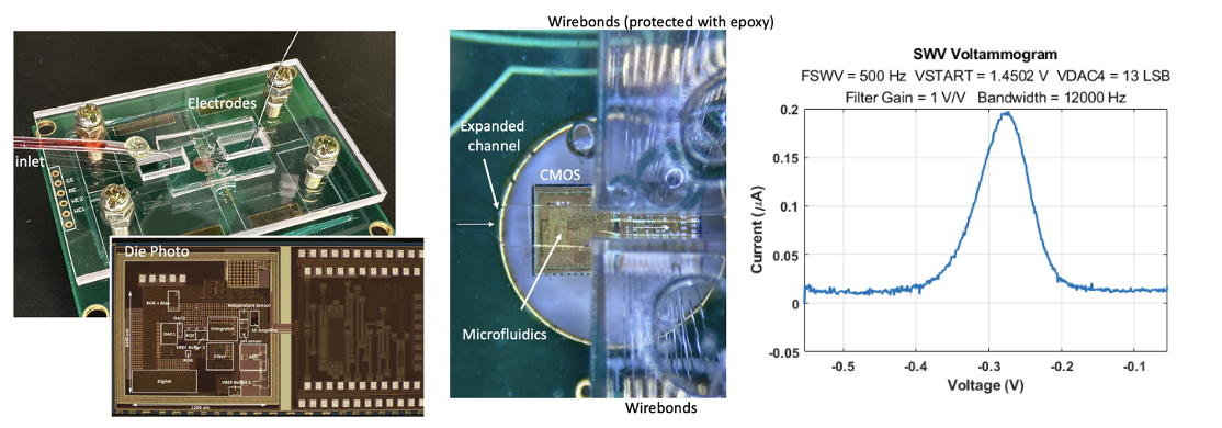 In-vitro molecular sensors with CRISPR