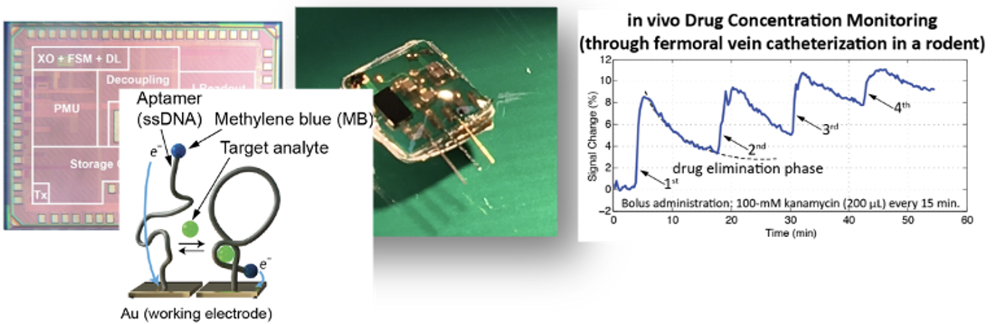 In-vivo molecular sensing